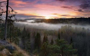 Природа Финляндии