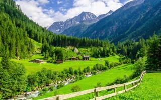 Альпийские луга Австрии