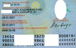 pasport-kirgizii (3)