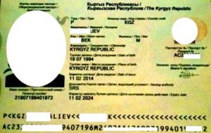 pasport-kirgizii (4)