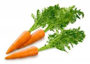 Морковь с творогом польза