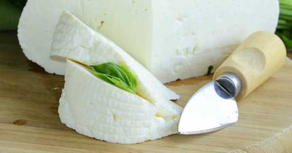 Рецепт адыгейского сыра в домашних условиях из творога